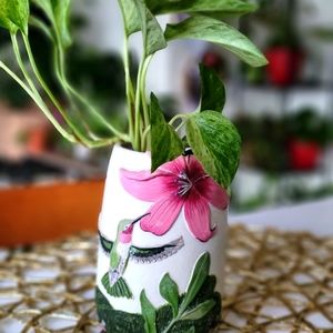 Hummingbird marble queen pothos